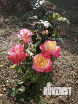 Дом 32м², 2-этажный, участок 6 сот.  