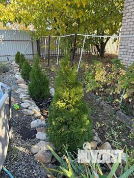 Дом 60м&sup2;, 2-этажный, участок 6 сот.  