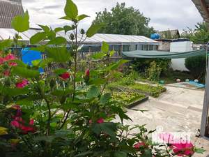 Дом 56м&sup2;, 1-этажный, участок 4 сот.  