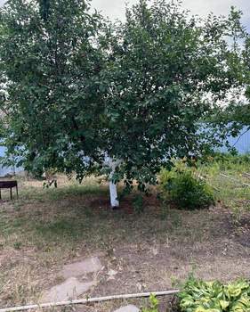 Дом 26м&sup2;, 1-этажный, участок 6 сот.  