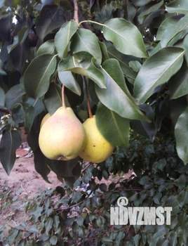 Дом 31м², 2-этажный, участок 6 сот.  