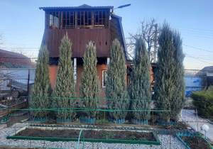 Дом 37м², 2-этажный, участок 4 сот.  