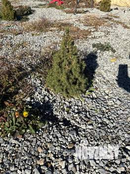 Дом 60м&sup2;, 2-этажный, участок 6 сот.  