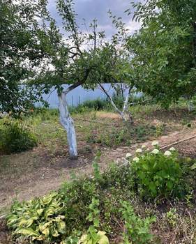 Дом 26м&sup2;, 1-этажный, участок 6 сот.  