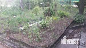 Дом 25м², 1-этажный, участок 7 сот.  