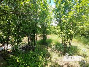 Дом 30м², 2-этажный, участок 5 сот.  