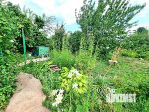 Дом 30м², 1-этажный, участок 6 сот.  