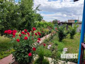 Дом 74м², 2-этажный, участок 6 сот.  