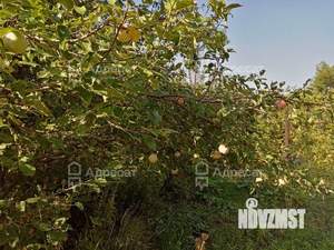 Дом 30м², 1-этажный, участок 6 сот.  