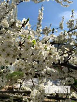 Дом 30м², 2-этажный, участок 6 сот.  