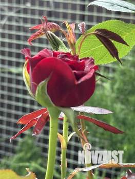 Дом 133м&sup2;, 2-этажный, участок 5 сот.  