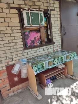 Дом 12м², 1-этажный, участок 4 сот.  