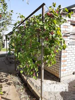 Дом 33м², 1-этажный, участок 6 сот.  