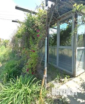 Дом 65м², 1-этажный, участок 12 сот.  