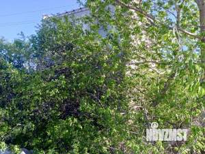 Дом 79м², 2-этажный, участок 7 сот.  