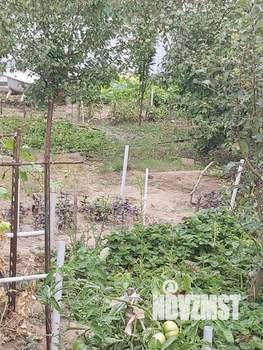 Дача 20м², 1-этажный, участок 6 сот.  