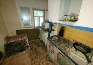 Дом 98м², 1-этажный, участок 3 сот.  