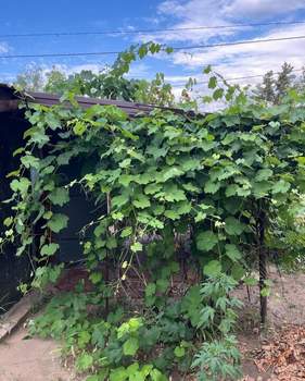 Дом 26м&sup2;, 1-этажный, участок 6 сот.  