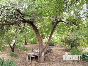 Дом 25м², 1-этажный, участок 6 сот.  