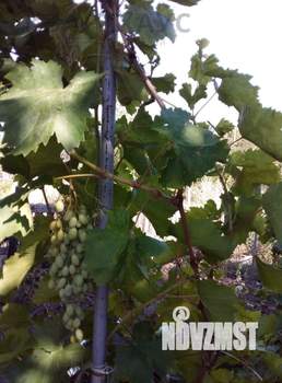 Дача 31м², 2-этажный, участок 6 сот.  