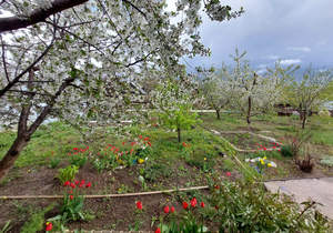 Дом 45м², 1-этажный, участок 7 сот.  