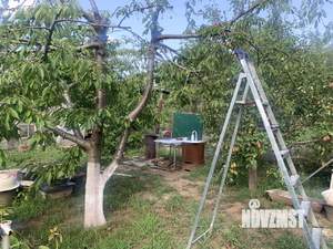 Дом 21м², 1-этажный, участок 6 сот.  