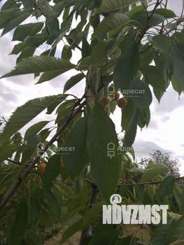 Дом 32м², 2-этажный, участок 6 сот.  