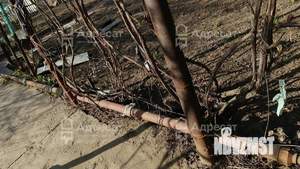 Дом 20м², 1-этажный, участок 7 сот.  