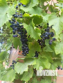 Коттедж 295м², 2-этажный, участок 6 сот.  