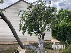 Дом 35м², 1-этажный, участок 4 сот.  