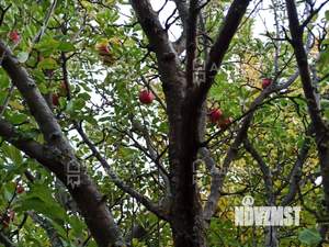 Дом 25м², 1-этажный, участок 8 сот.  