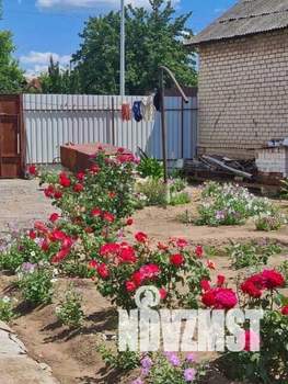 Дом 39м², 1-этажный, участок 8 сот.  