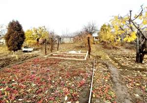 Дом 20м², 1-этажный, участок 6 сот.  