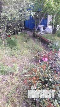 Дом 25м², 1-этажный, участок 7 сот.  