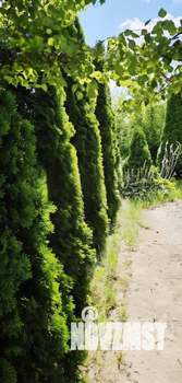 Дом 603м², 4-этажный, участок 8 сот.  