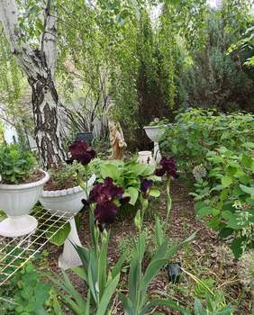 Дом 120м², 1-этажный, участок 13 сот.  