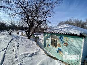 Дом 28м², 1-этажный, участок 10 сот.  