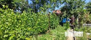 Дом 20м&sup2;, 1-этажный, участок 6 сот.  