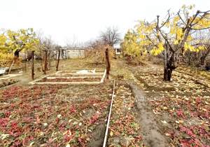 Дом 20м², 1-этажный, участок 6 сот.  