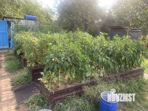 Дом 21м², 1-этажный, участок 6 сот.  