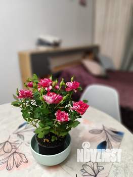 Студия квартира, посуточно, 29м2, 1/5 этаж