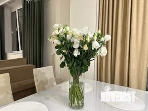 Студия квартира, посуточно, 55м2, 15/17 этаж