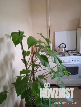 1-к квартира, посуточно, 41м2, 3/6 этаж