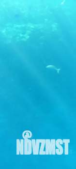 2-к квартира, посуточно, 54м2, 10/24 этаж