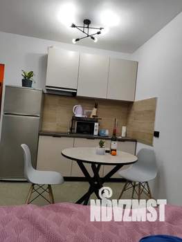 Студия квартира, посуточно, 29м2, 1/5 этаж