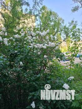 1-к квартира, посуточно, 38м2, 1/5 этаж