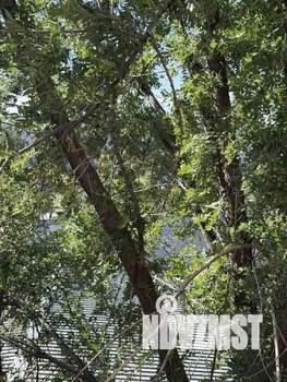 1-к квартира, посуточно, 29м2, 1/1 этаж