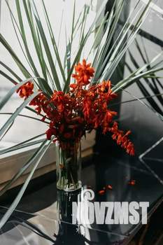 Студия квартира, посуточно, 32м2, 2/5 этаж