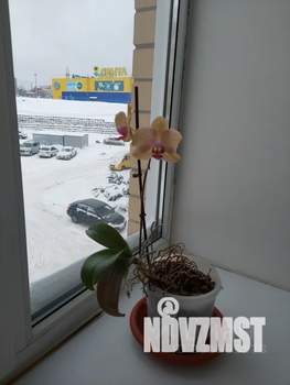 1-к квартира, посуточно, 36м2, 3/6 этаж