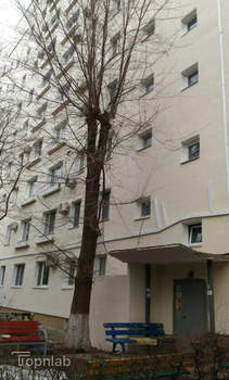 1-к квартира, на длительный срок, 32м2, 6/9 этаж